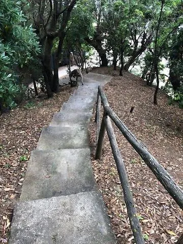 Grazia * Casa Mazzari